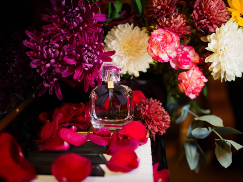 ✨ Prada PARADOXE, COCO MADEMOISELLE y MON PARIS 🏆